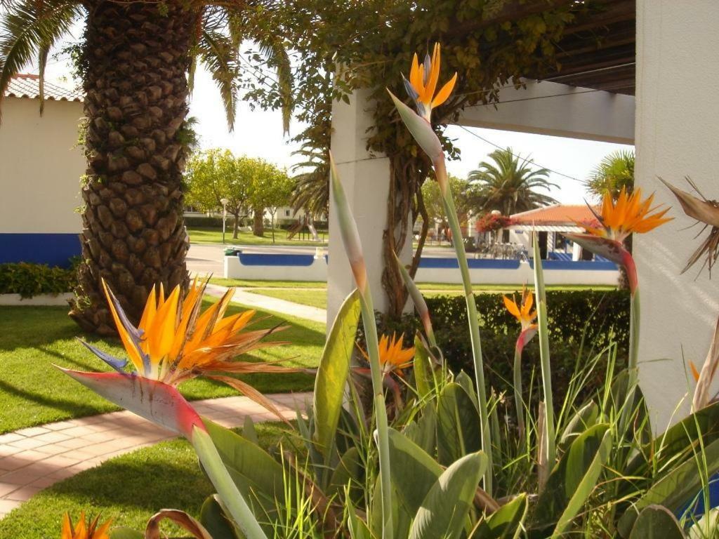 Parque Campismo Porto Côvo Porto Covo Exterior foto
